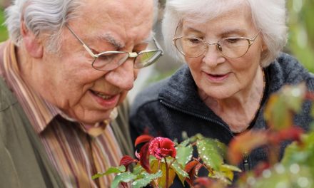 Le Carnet-Relais, un nouvel outil de communication avec les personnes âgées désorientées