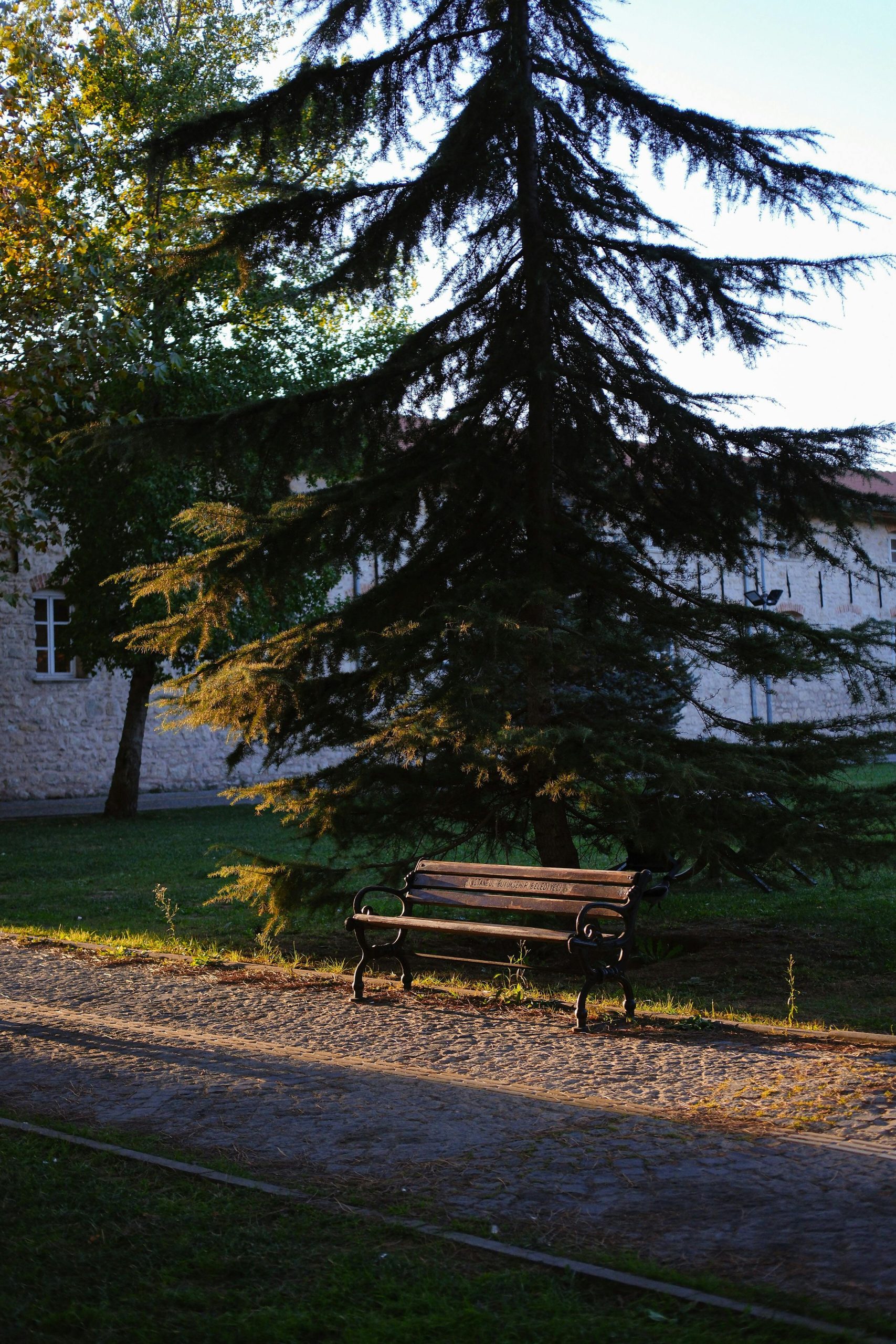 pexels-kubrakuzu-18754313 Je n’ai pas fait à la place de.