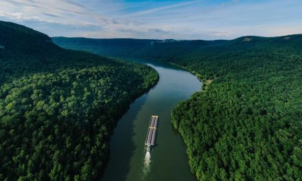 O ÚLTIMO AZUL (THE BLUE TRAIL) – un film de Gabriel Mascaro