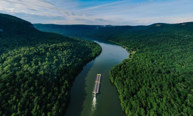 O ÚLTIMO AZUL (THE BLUE TRAIL) – un film de Gabriel Mascaro