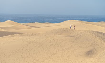 Maspalomas – un film de Aitor Arregi et José Mari Goenaga